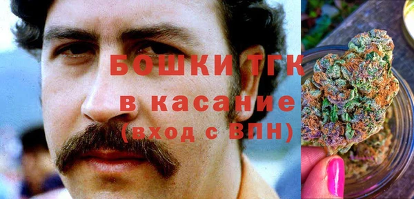 соль ск Алзамай