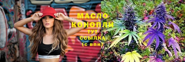 соль ск Алзамай