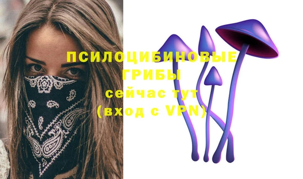 ешки Алексеевка