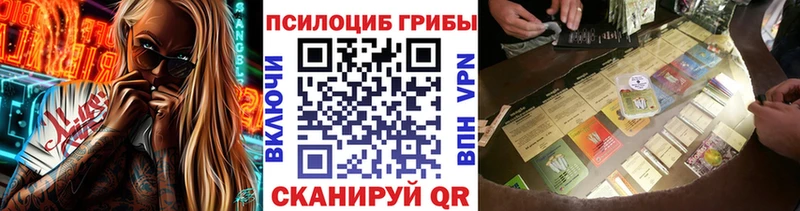 Псилоцибиновые грибы Psilocybe Петровск
