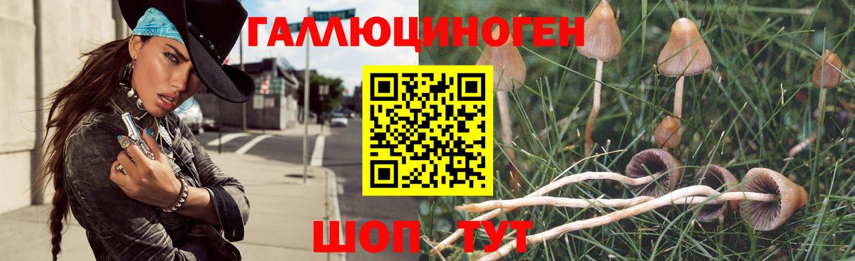 Псилоцибиновые грибы мухоморы  Вход с VPN  Петровск 