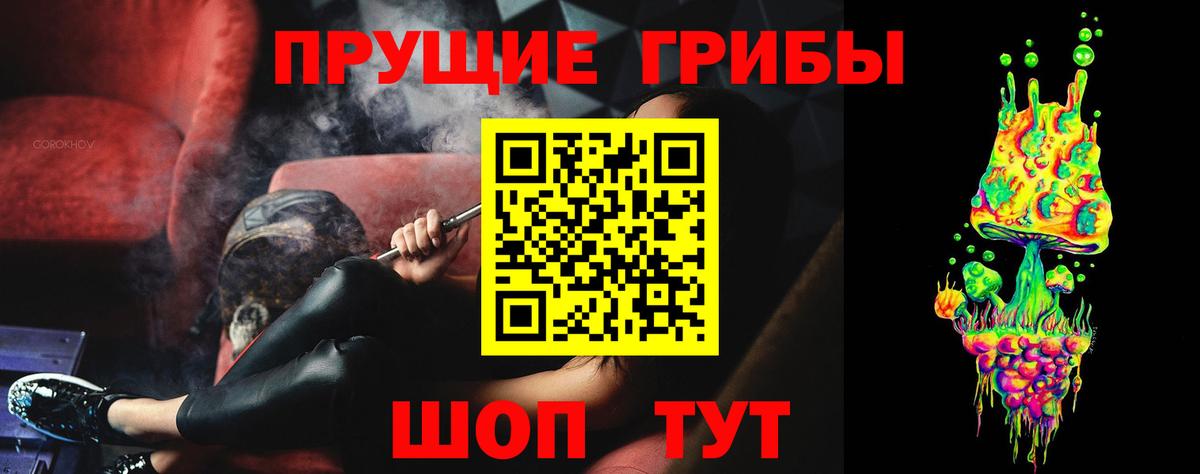Псилоцибиновые грибы Psilocybe Петровск